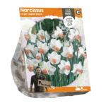 Baltus Narcissus Large Cupped Skype bloembollen per 5 stuks